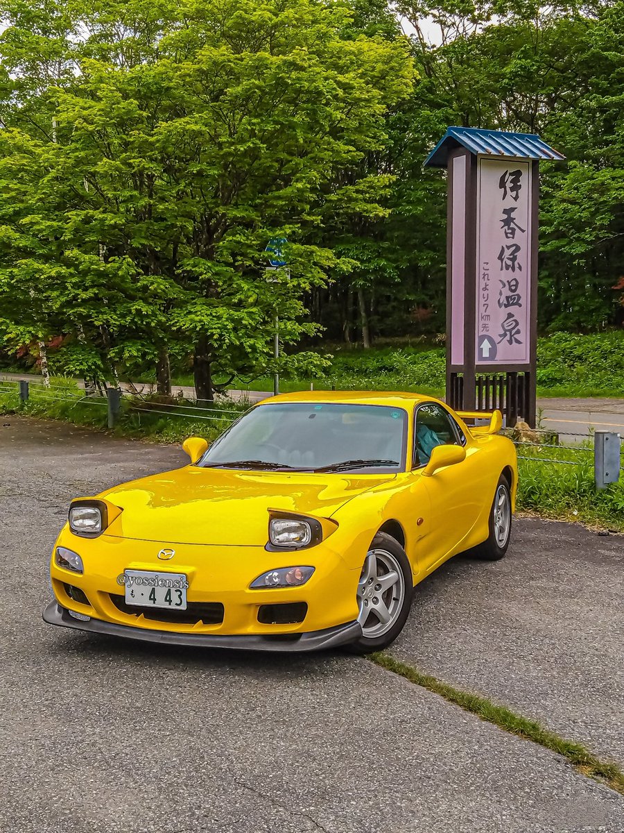 Y0SSIENSIS's tweet image. #これを見た人は木に囲まれた写真をあげろ

森や湿地帯が恋しい