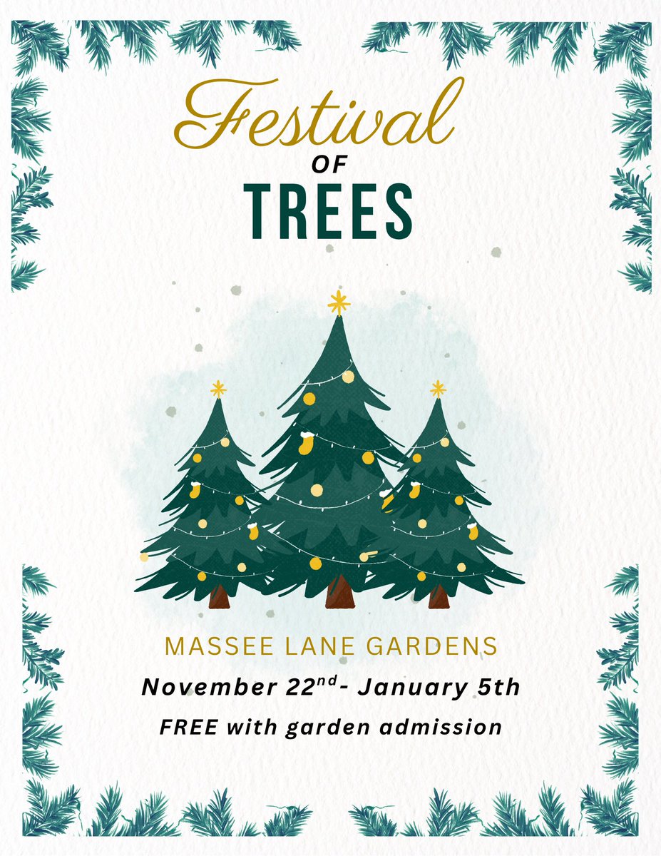 Lizkatereid's tweet image. Come and see the beautiful trees decorated by local businesses this holiday season at Massee Lane! #masseelane #festivaloftrees