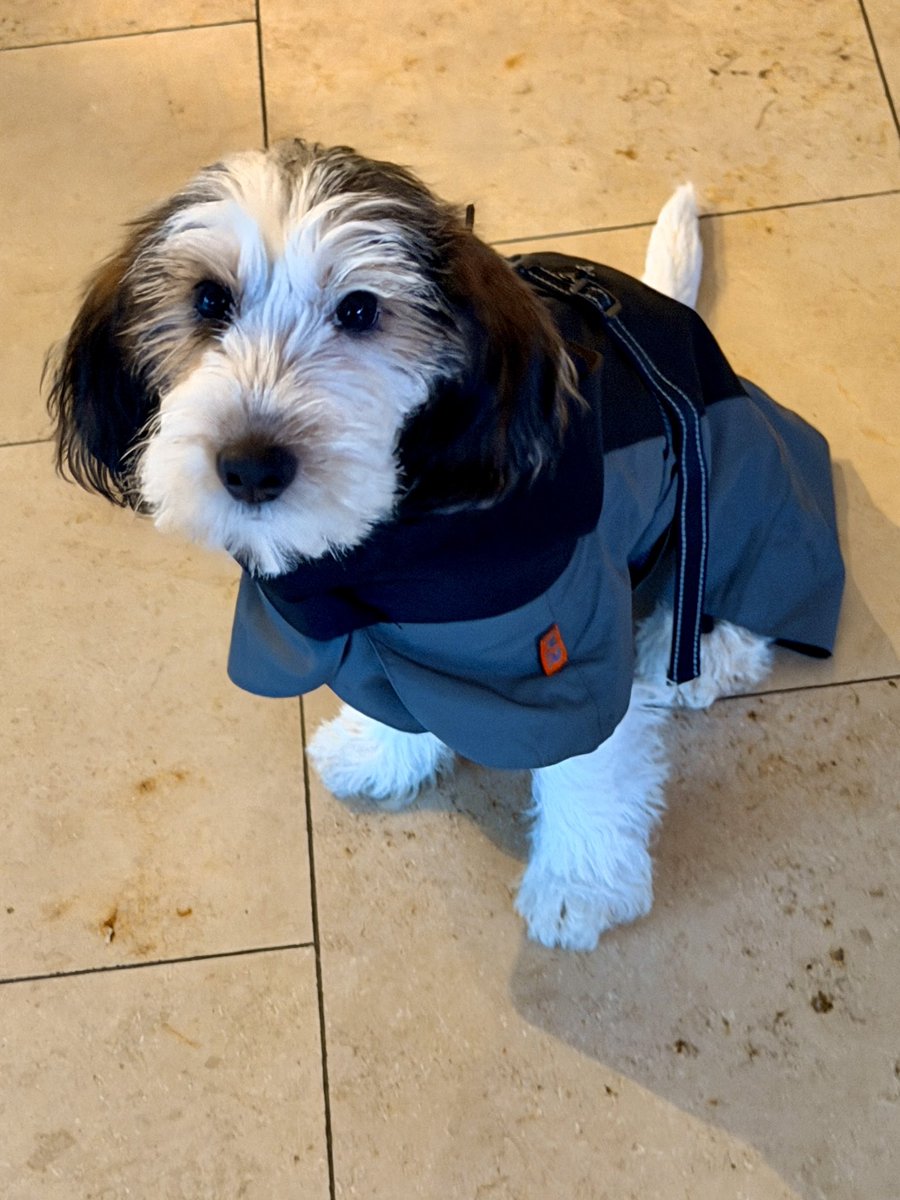 Frank (FOP) tweet media