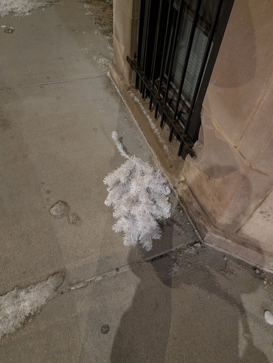 trashndgarbage's tweet image. I’m dreaming of a white Christmas 
Christmas garbage submitted by @leilanihancock