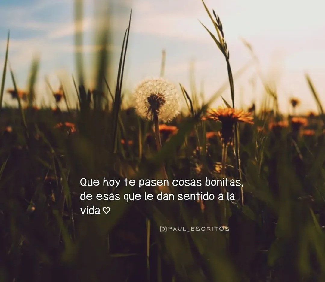 AdrianEliasBM's tweet image. #BuenosDías #Vibes #FelizViernes #Viernes