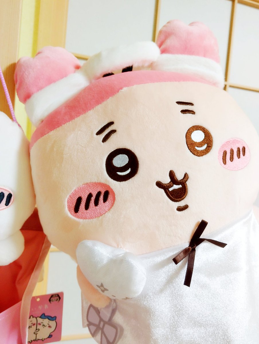 モッチー (@m_kikokiko9194) / Posts / X