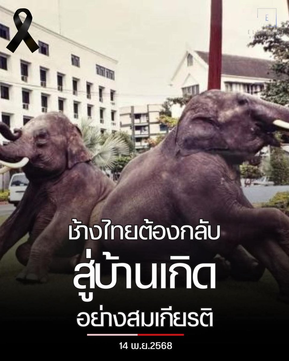 cpnnnni's tweet image. อาจจะโพสเยอะโพสบ่อย
อย่าพึ่งรำคาญกันน้าาาา
ไม่อยากให้เรื่องเงียบหาย
อยากให้ทั้ง2พลายได้กลับบ้าน
อยากเป็นอีกพลังให้กลุ่ม  #ทวงคืนช้างไทย ที่ทำงานกันอย่างหนักจริงๆ จนเรื่องถึงหน่วยงานรัฐต่างๆ  
#พลายประตูผา #พลายศรีณรงค์