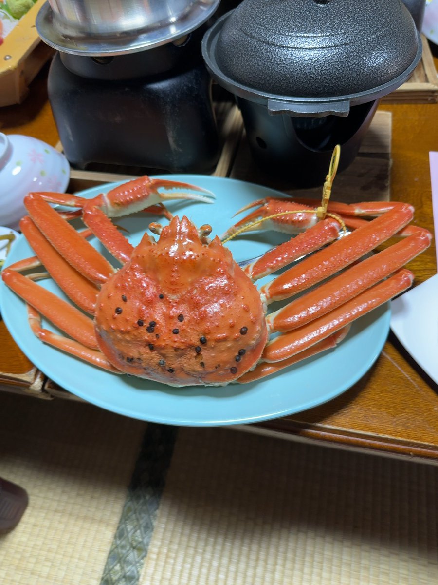 LOGIOG55's tweet photo. 越前ガァニ量が多すぎ https://t.co/vztvH3sZPw