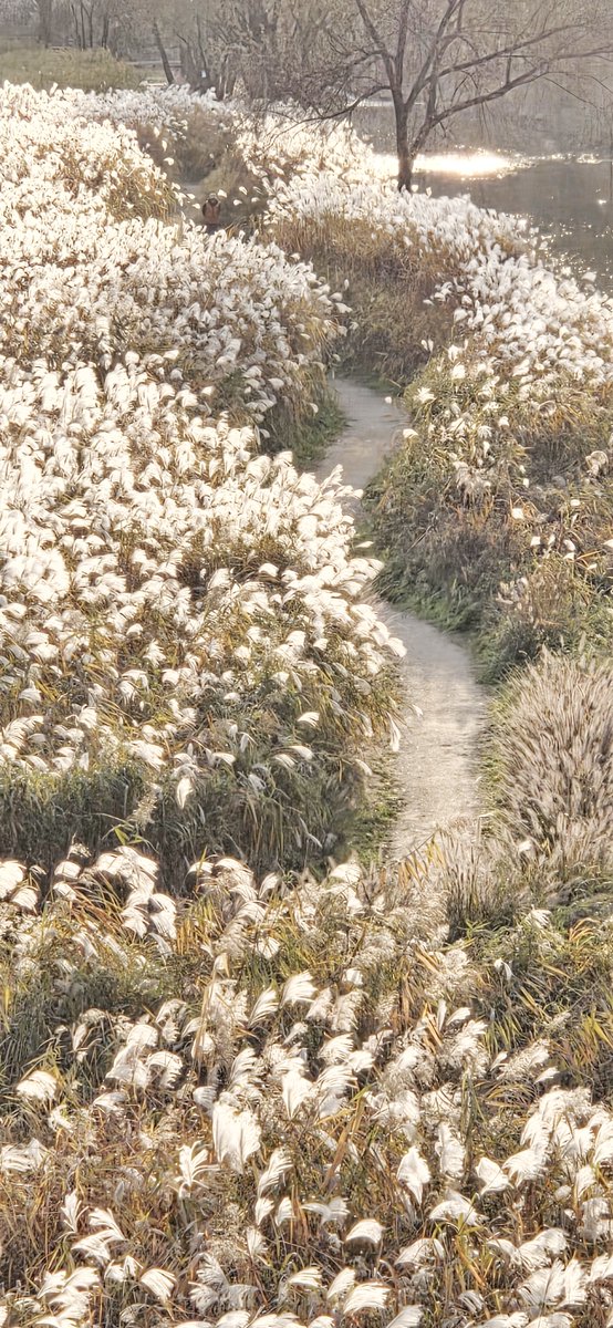 William Jin tweet media