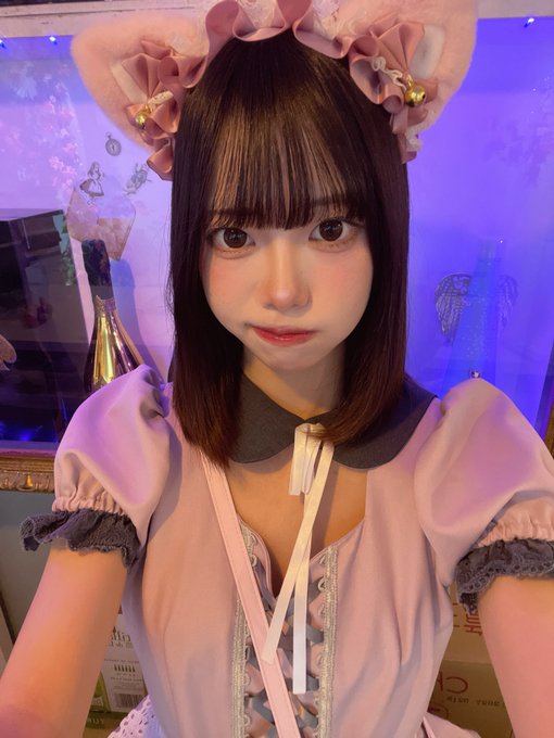 ~メイド喫茶~曖昧Aliceのツイート