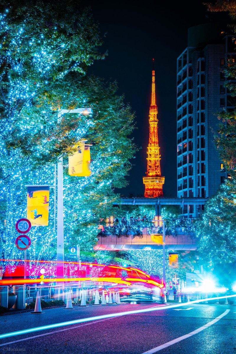 君も僕も街灯りのひとつ