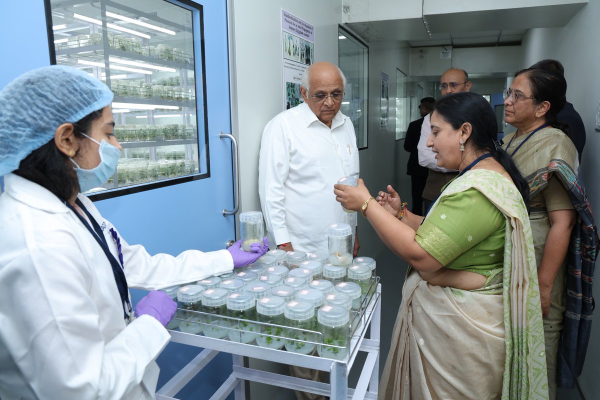 Bhupendrapbjp's tweet image. ગોંડલ તાલુકાના પાટીદડ ખાતે વિમલ રીસર્ચ સોસાયટીના નવા બાયોટેક રીસર્ચ સેન્ટર - સંશોધન ભવનનું લોકાર્પણ કર્યું. આ કેન્દ્ર કૃષિ ક્ષેત્રે બાયોટેક્નોલોજીની સંભાવનાઓને પરિપૂર્ણ કરશે.

સંસ્થા દ્વારા પ્લાન્ટ ટિસ્યુ કલ્ચર, દરિયાઈ લીલ, મોલેક્યુલર બાયોલોજી, બાયો ફોટોન સહિતના ક્ષેત્રોમાં…