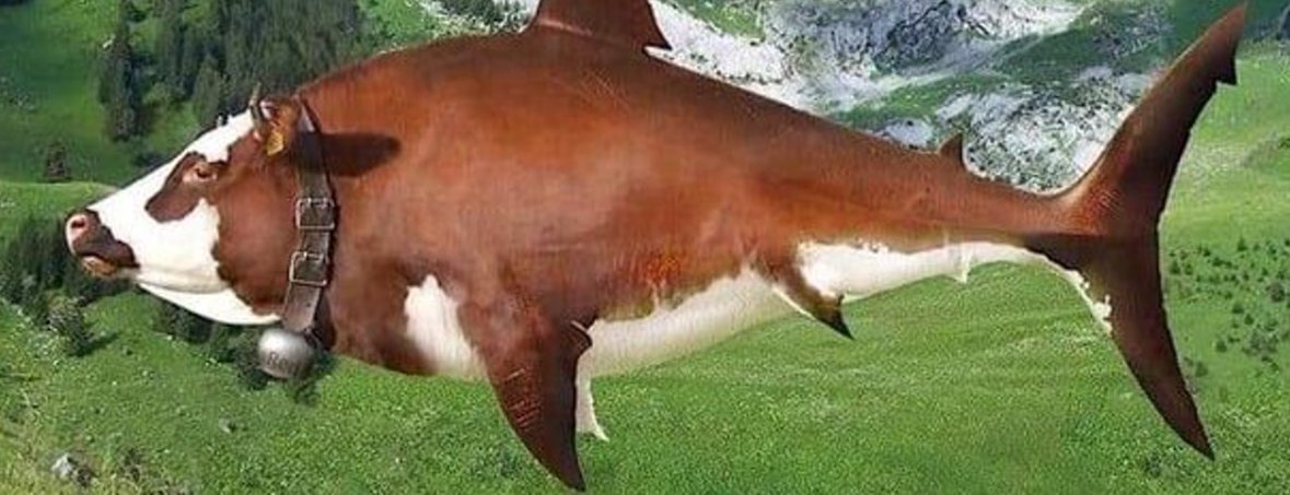 GianT_455's tweet image. Bro WTF is this😭