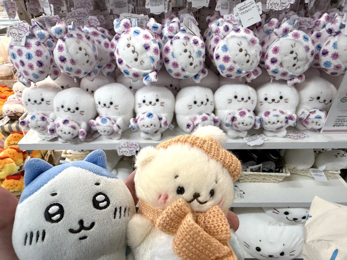 らっこいぬです(*^^*)他の方は購入不可‼ しろたんのポップアップやってたから✨ 推しの可愛いらっこいぬ先輩を