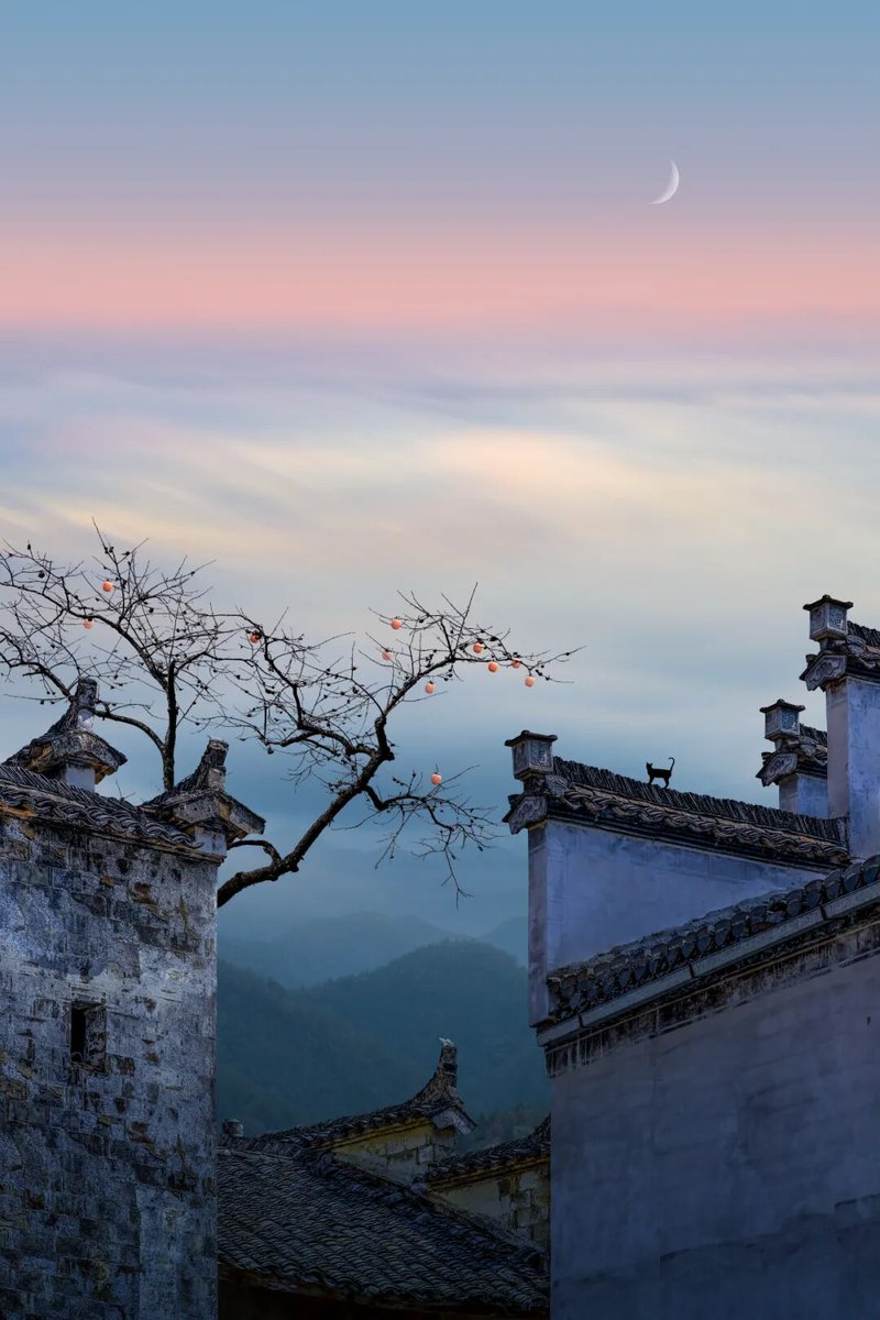 aishuzhan's tweet image. 年复一年，我追逐着徽州的秋天。镜头留住的不仅是风景，更是一种心境。