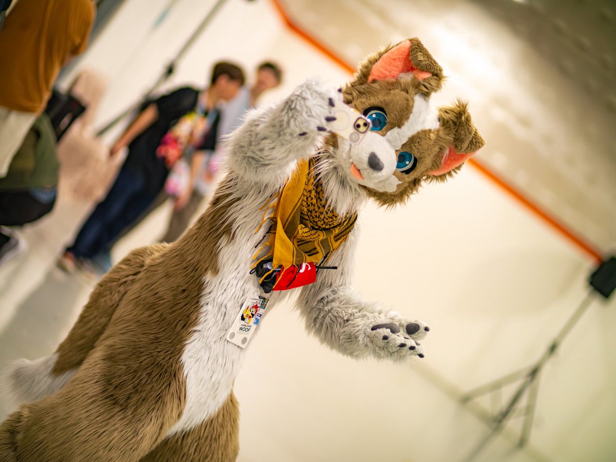 來，讓我拍一張！

📸 <a href="/r1o827/">里區欠／Rio</a> 
#FursuitFriday