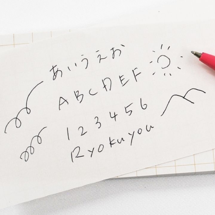 ボールペン画　『華紅想』