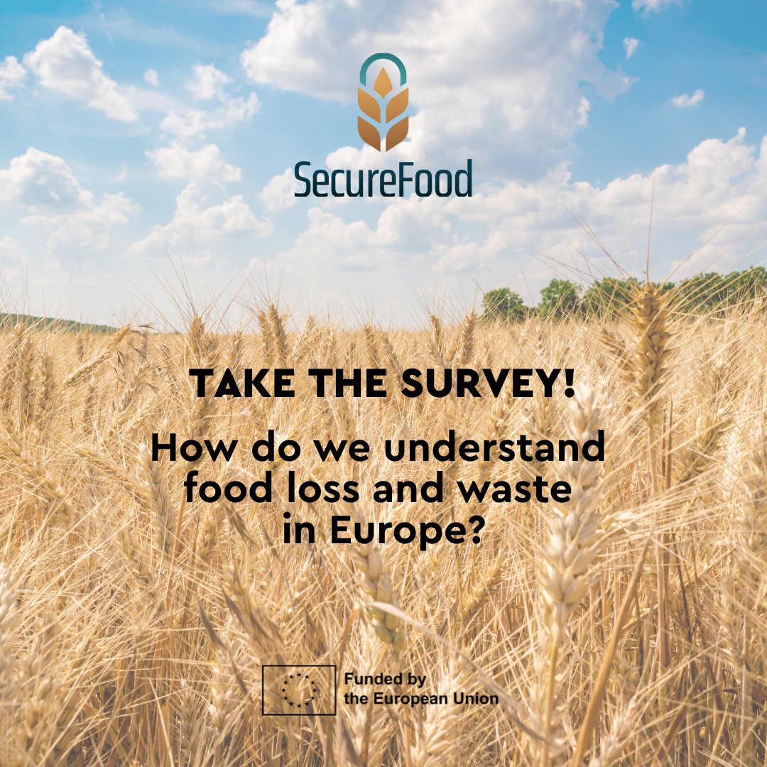 OptiFish tweet media