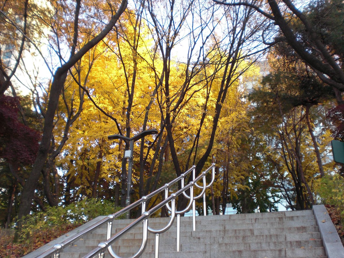 카우룽 카우룽.. 🍂📚☁️