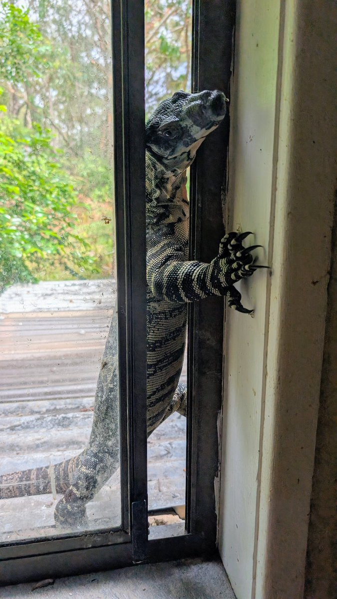 Mark Duckett tweet media