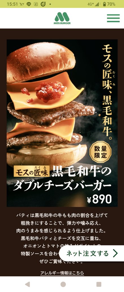 【新品未開封】バーガーバーガー【激レア】 新品未開封】バーガーバーガー【激レア】 新品未開封】バーガー