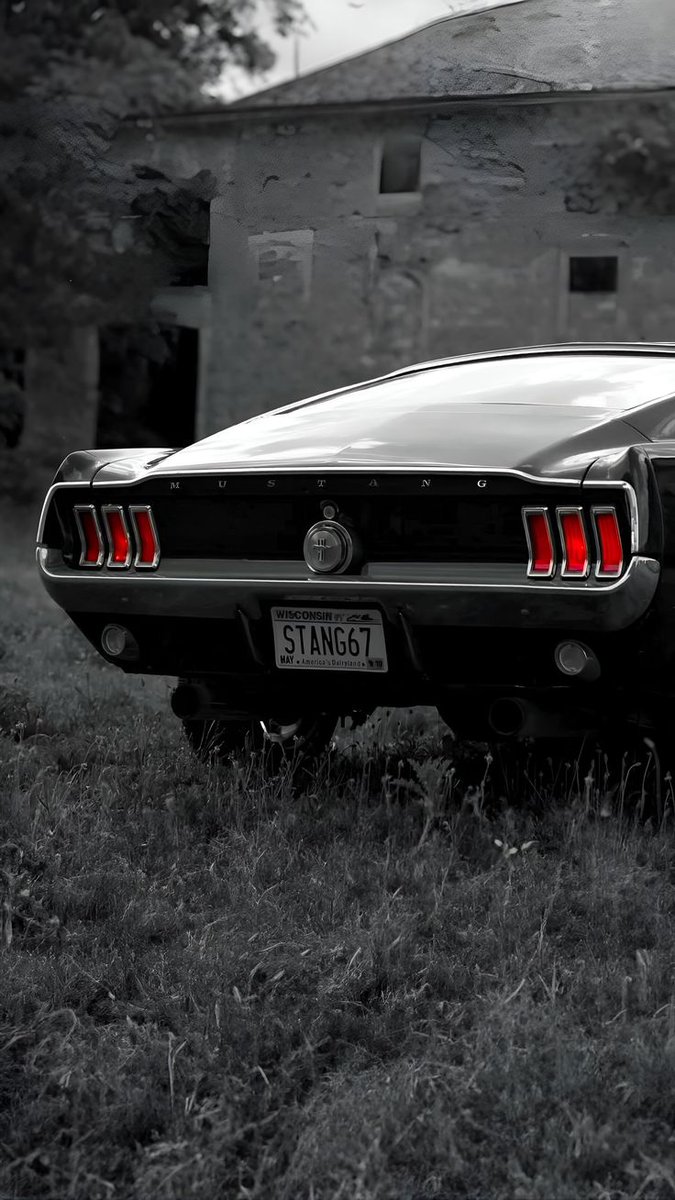 wallswithfloki's tweet image. AMERICA MUSCLE
#MUSTANG
#WALLS