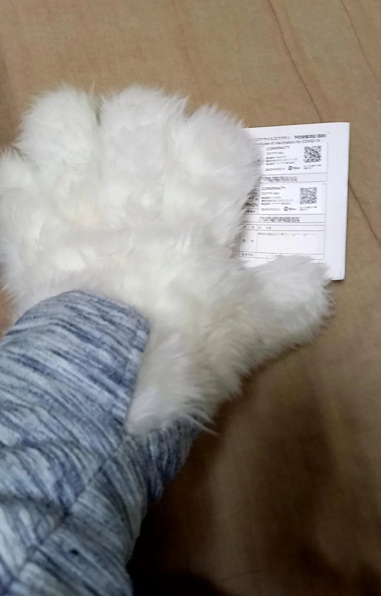 写真漁ってたらめっちゃ昔の腕だけ作ったやつ出てきた(写ってるのはワクチン証明書)