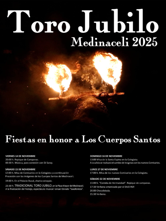 ftorodelidia's tweet photo. 🔥El Toro de Jubilo es el único toro de fuego en Castilla y León y está declarado de Interés Turístico.

¡Aquí os dejamos toda la programación! https://t.co/19aqEfTJnn