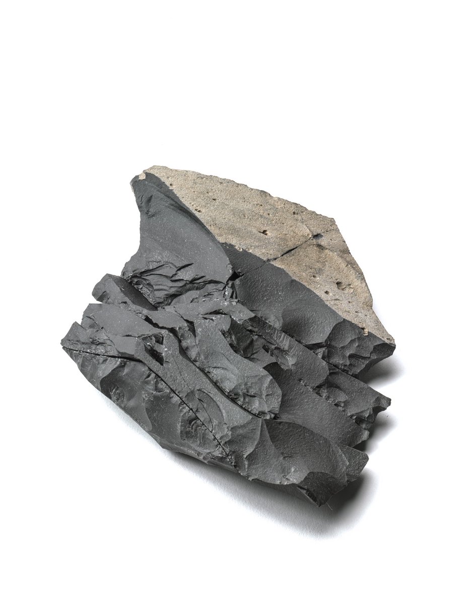 #平城宮跡資料館 秋期特別展「#ナラから平城へ」展示品紹介‼️
平城宮跡でも出土する #旧石器時代 の狩りの道具✨国府型ナイフ形石器、#瀬戸内技法 という技術で作られています🦌
写真は瀬戸内技法で作った石器をくっつけたレプリカ
どうやって作ったのかは会場で上映中の映像をチェック‼️
#奈文研