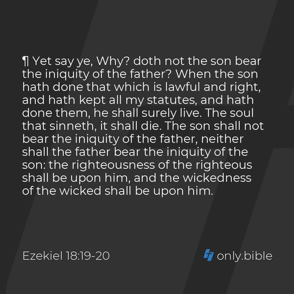 РОЙСТЕР tweet media