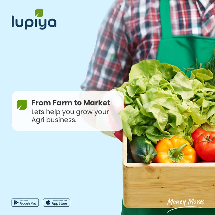 From Farm to Market. 

Discover Lupiya Agri Loans at lupiya.com/business-loans…+

#LupiyaMoneyMoves #Agriloans #BusinessLoan #Zambia