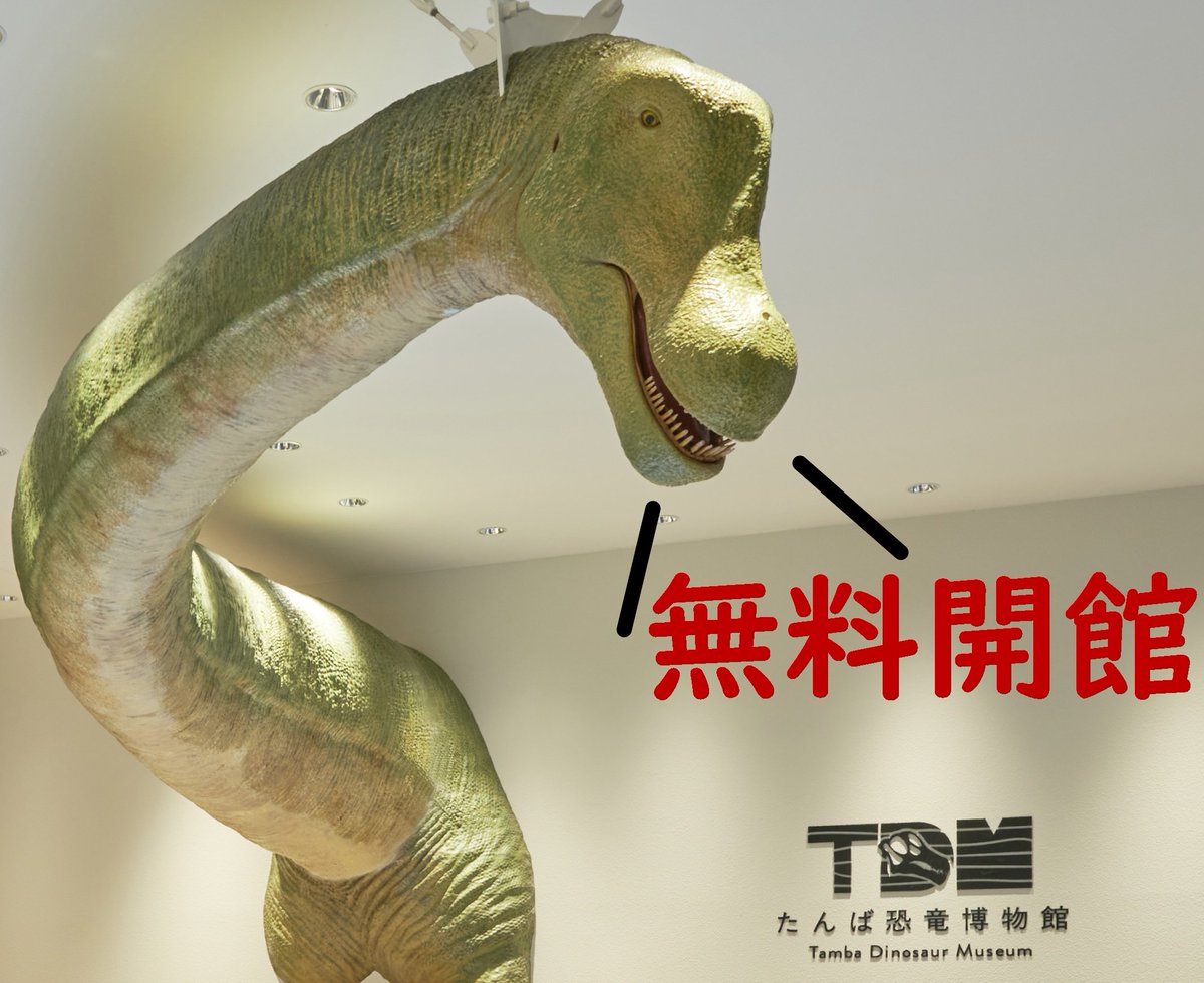 丹波竜のちーたん (@chi_tan0807) / Posts / X