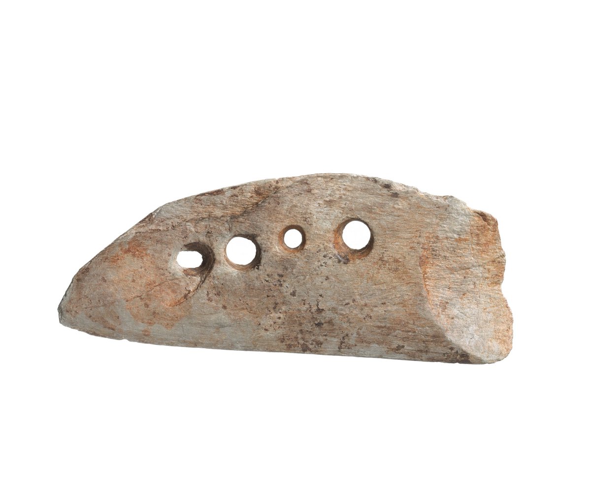 #平城宮跡資料館 秋期特別展「#ナラから平城へ」展示品紹介‼️
#弥生時代 に使われた #石包丁 🔪名前をみると肉切り包丁かと思ってしまいますが、稲穂を摘むための道具です🌾
稲作技術の一つとして朝鮮半島を経由して大陸からもたらされました😆
#奈文研