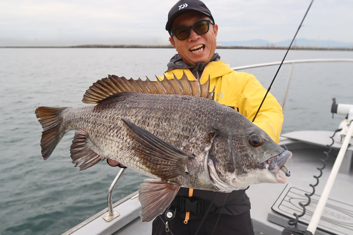 もりぞー様 もりぞー (@morizo57) / Posts and Replies / X