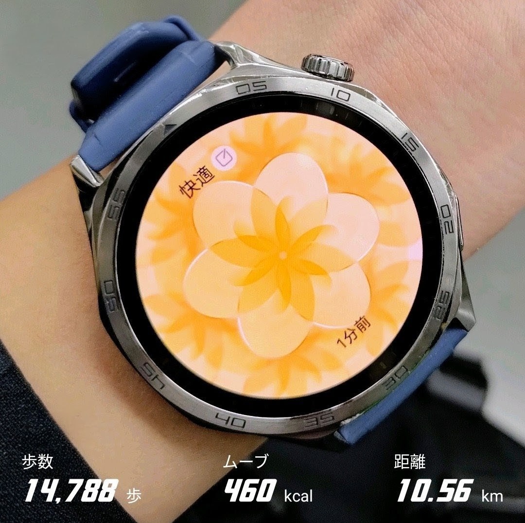 今日も1日お疲れ様でした！✨
小春日和な #ウォーキング 🚶🍁

お腹減ったなーと思った時に
振動した⌚を見たらpicでした🤣