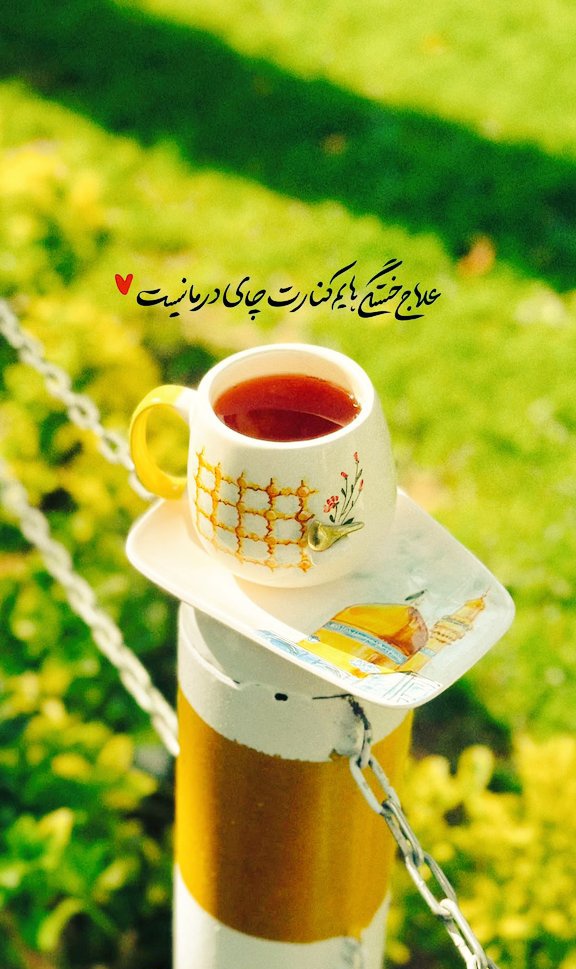 فاطمی ام tweet media