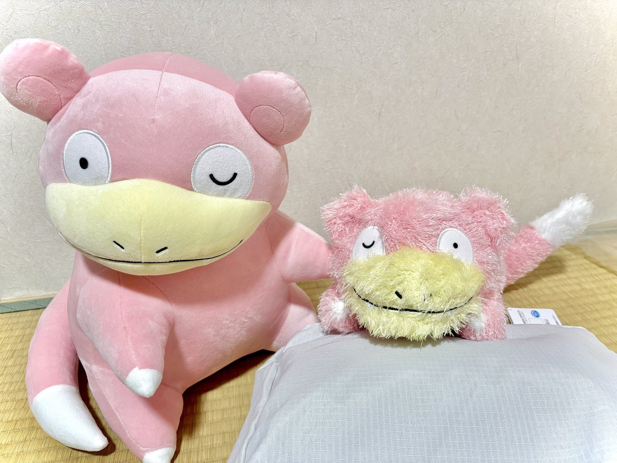 eeiaamorainaki コメントありがとうございます😊 こちらのファサファサ