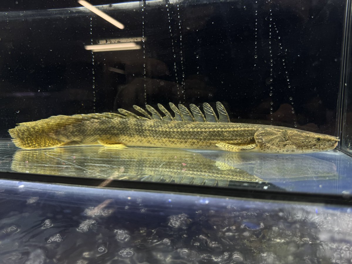 水槽 My Style 水槽 My Style 水槽 My Style