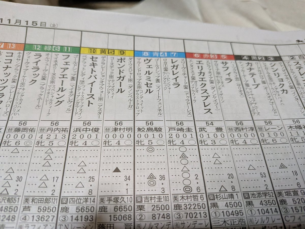 帰宅して日曜日のエリザベス女王杯の予想してる

ヴァルミセル◎から夢を買う
ゴルシ産駒！血が走る