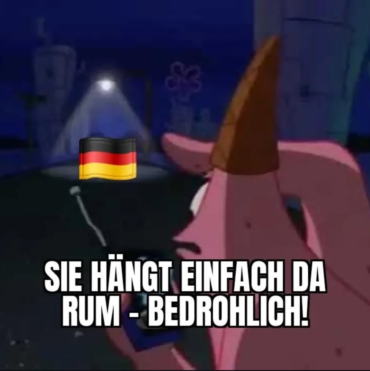 Staatsschutz in Deutschland sein wie: