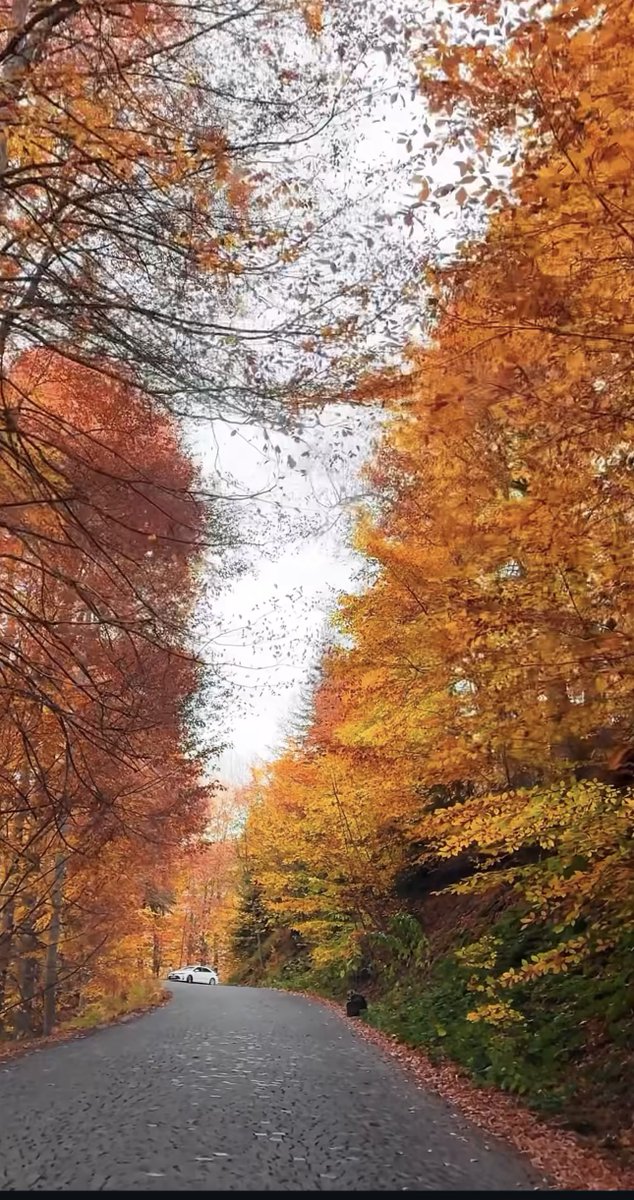 Thanks😍God it is Friday.🍁🍂