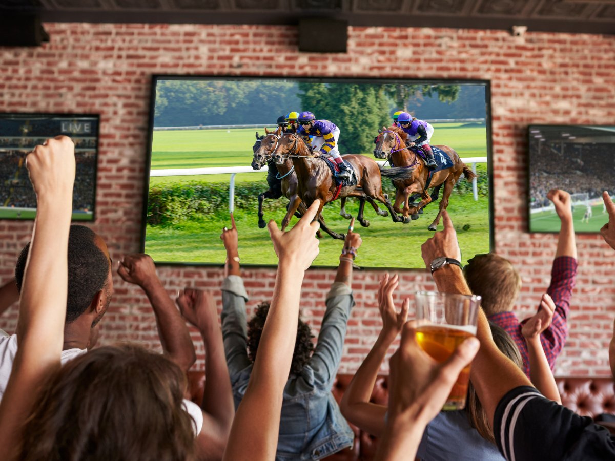 Discover how the Beebox Entertainment System can turn your venue into the ultimate entertainment destination!

Created specifically for the hospitality industry, Beebox brings together everything you need to deliver unforgettable nights out.

From bingo, karaoke, and quizzes to