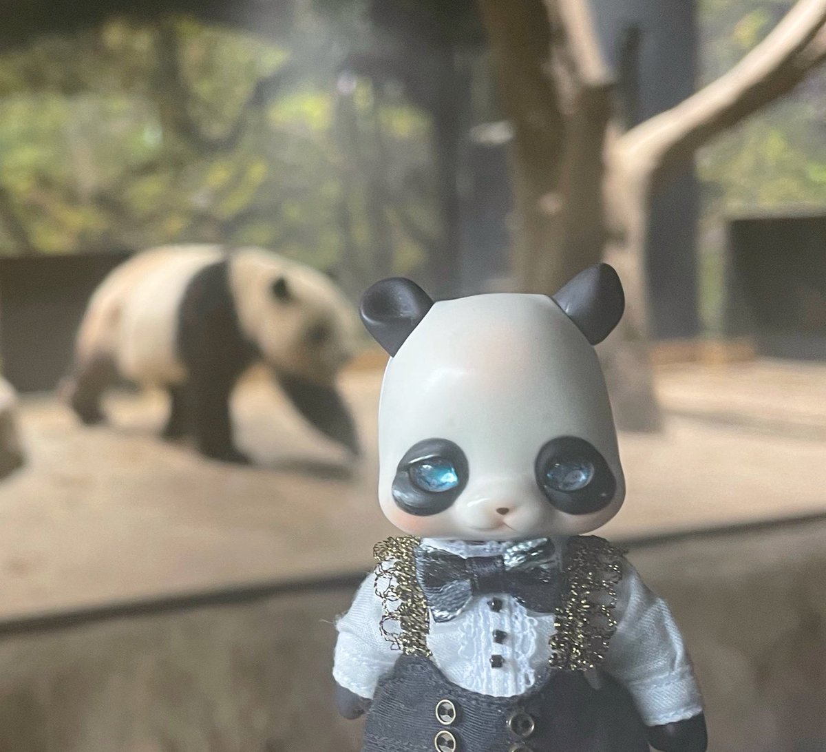 Knyan280's tweet image. パンダに会いに行ってきました🐼 #旅こぐま #poi #pandy