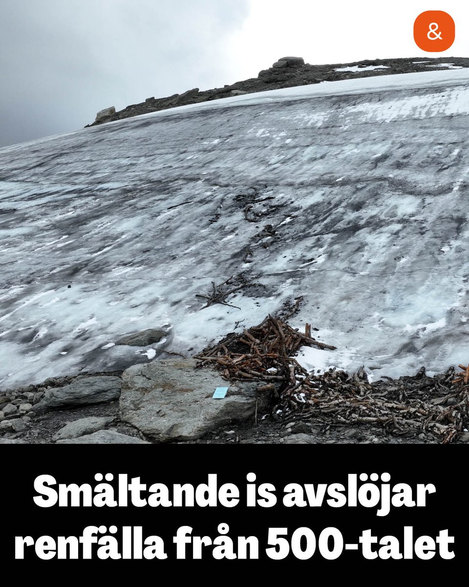 ingenharfrikort's tweet image. En ytterst välbevarad fålla för fångst av vildren har smält fram ur en isfläck på ett norskt fjäll.
Helvete vad Co2 dom måste ha vräkt ut i atmosfären då...