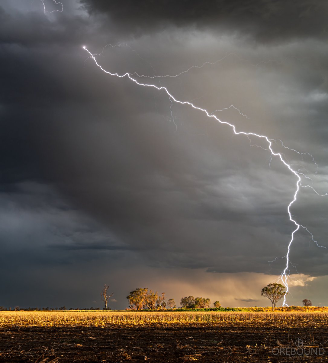 OreboundImages's tweet image. Catching daytime #lightning is always fun. Now the typhoon stuff has settled down for a bit it&apos;s probably time I got back out there after some local #TopEnd storms 🌩️

📷 Darling Downs, Queensland

#StormHour #Australia
