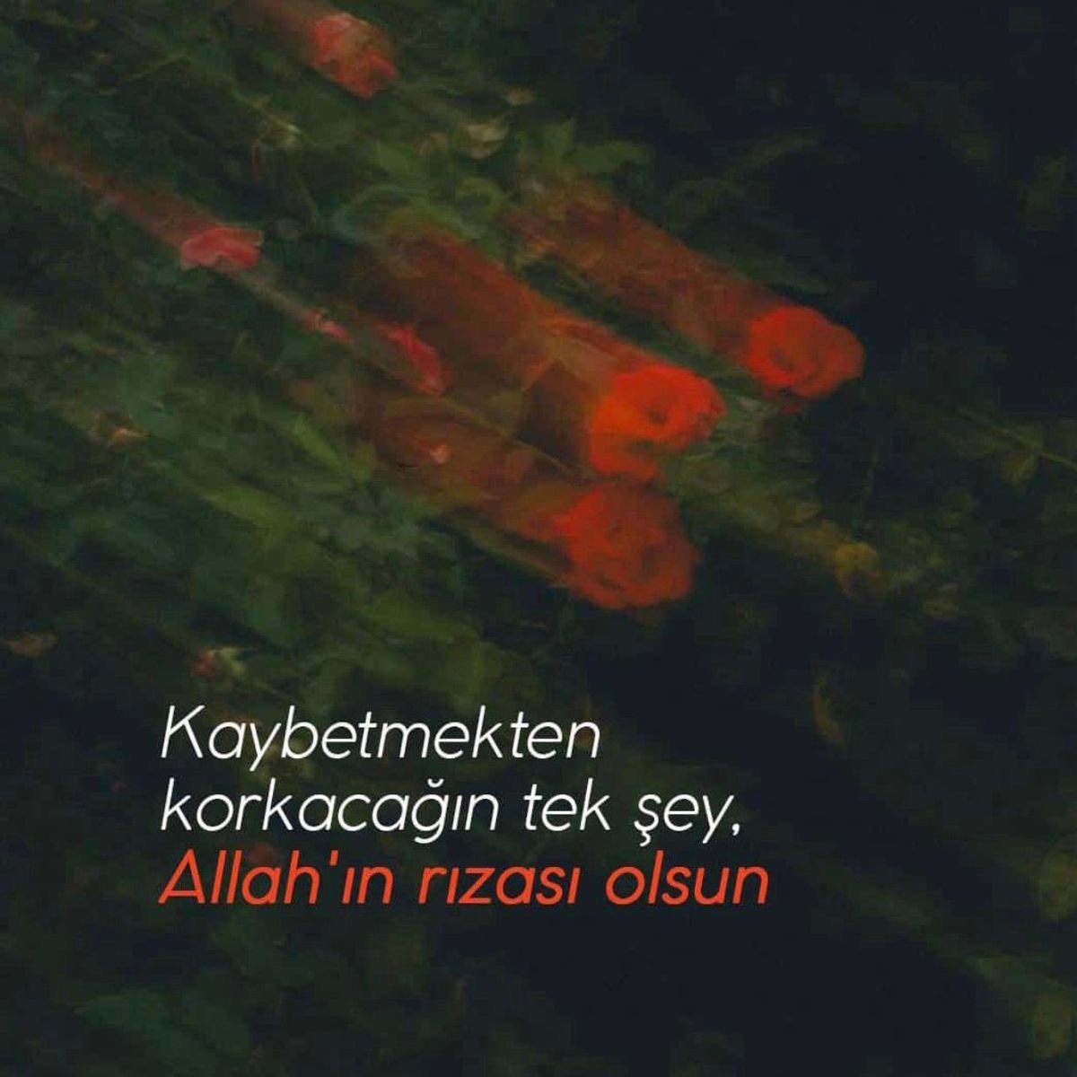 Sanat İslam İçindir (@sanatislamicind) on Twitter photo 