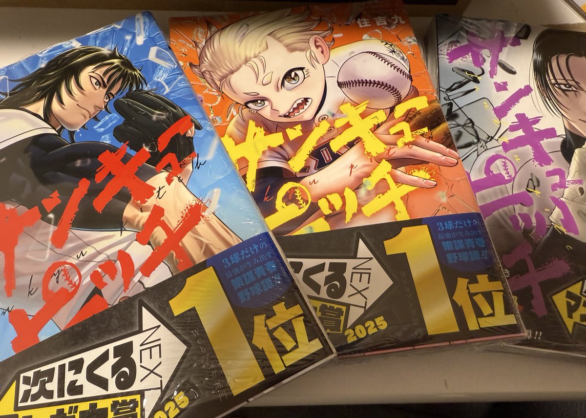 りかぴです トリックスター / Ninja ZX-25R (23-25)レーシングスリップオン