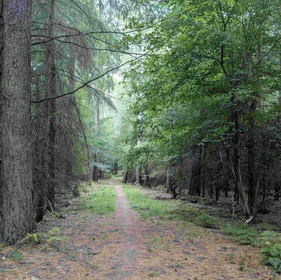 REMINDER: BOK Regional, SW League and Junior Interland Selection, Crabtree Hill, Sunday 23rd November 2025 - Entries CLOSE THIS SUNDAY 16th Nov. - mailchi.mp/723156ac0a15/r…