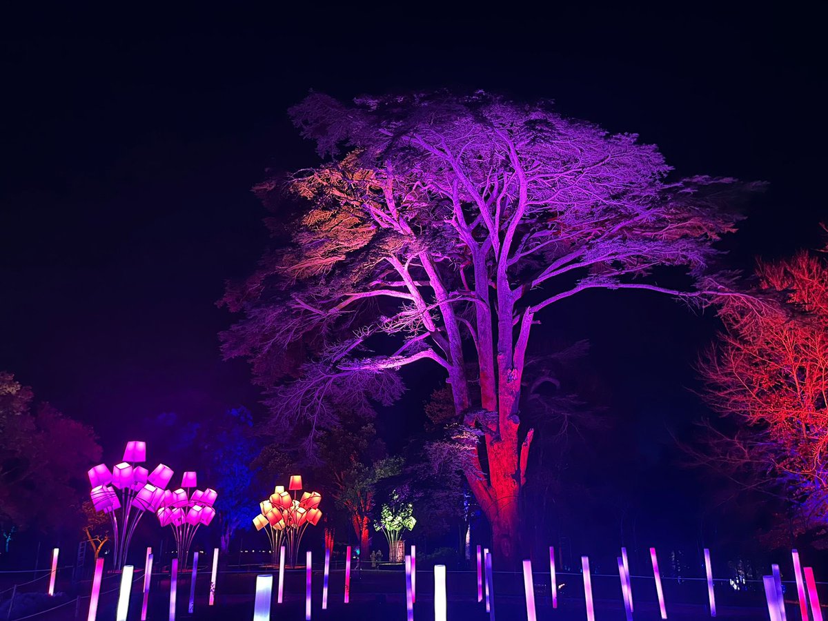 CotsTourismBiz's tweet image. Thanks @BlenheimPalace for inviting #Cotswolds Tourism to your preview evening for #christmasAtBlenheimPalace #PalaceOfOz blenheimpalace.com/whats-on/event…