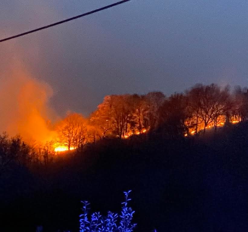 Association Prévention & Signalement Feux De Forêt tweet media