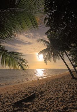 テンション上がる🎶から休憩タイム〜して気分変えよ 📱