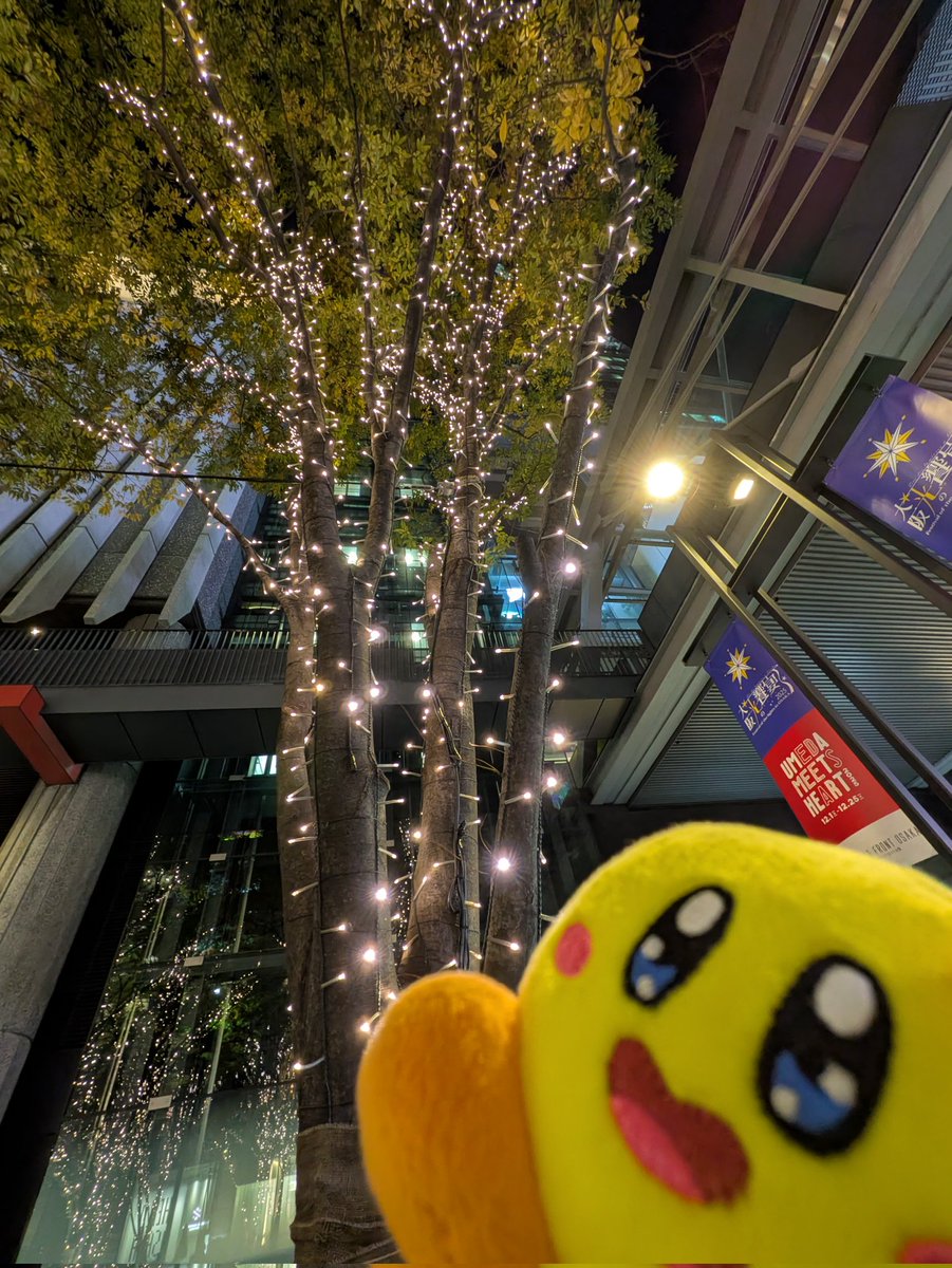 ピカピカだねカービィ