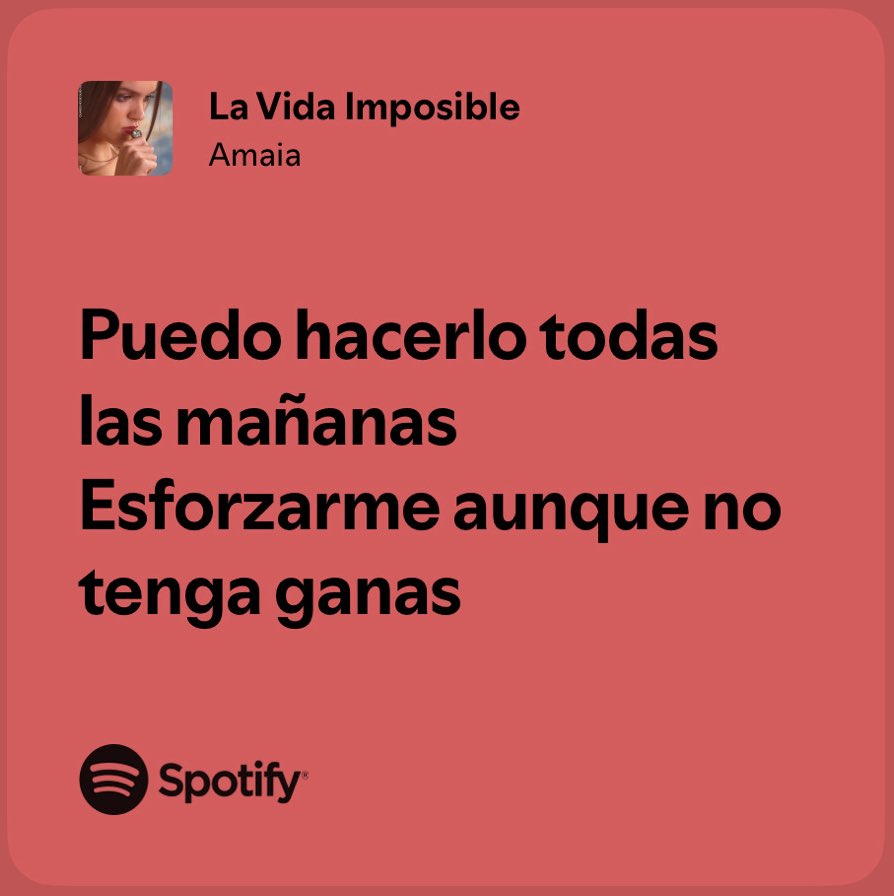 Alejandra tweet media