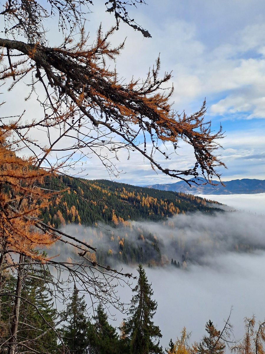 _strshlen's tweet image. Eisenerzer Alps 🇦🇹